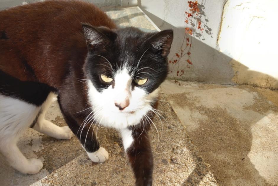 Ontdekkingsalarm Kat Onbekend La Chartre-sur-le-Loir Frankrijk
